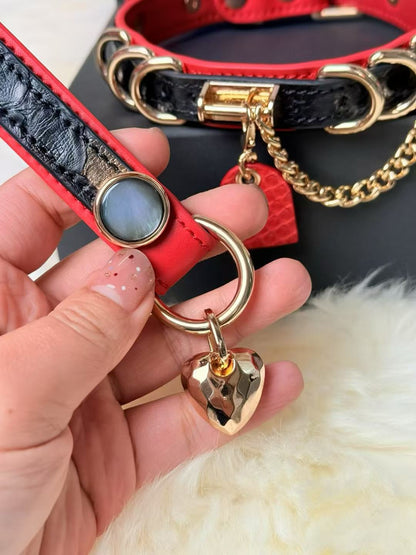 Red & Black Luxury Pet Collar with Gold Hardware and Heart Charm