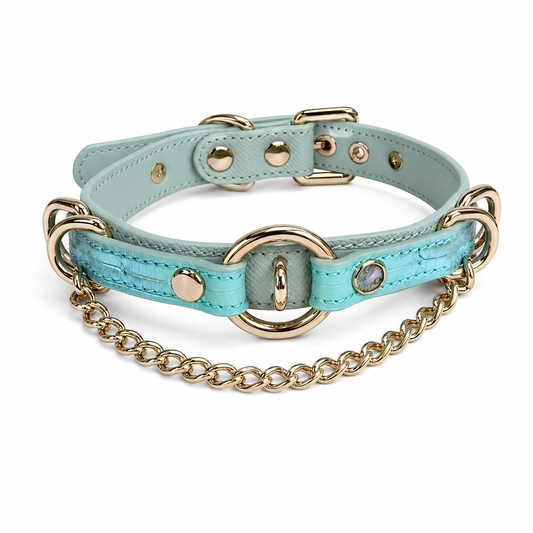 Handmade Aqua Blue O-Ring BDSM Collar with Gold-Tone Chain