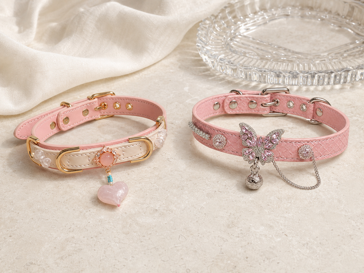 How to Choose a BDSM Collar for Comfort, Safety, and Style